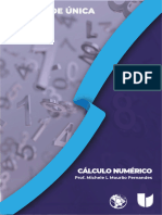 Cálculo Numérico: Prof. Michele L Mourão Fernandes