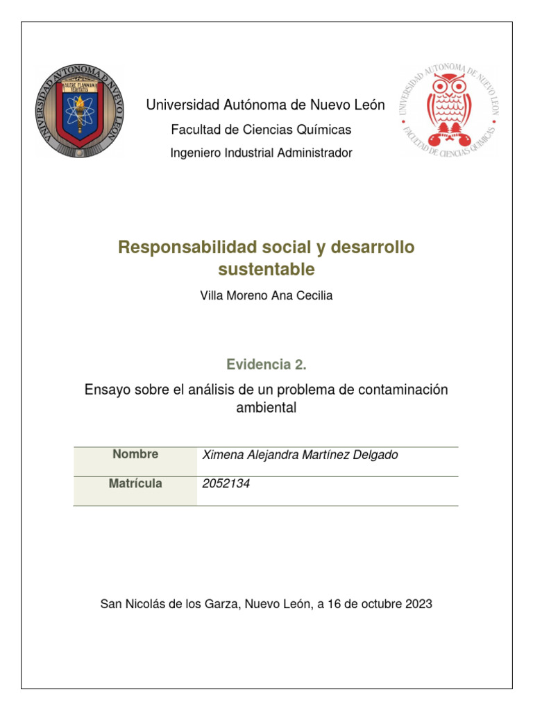 Responsabilidad Social Y Desarrollo Sustentable Pdf Sustentabilidad