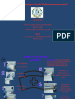 Mapa Mental Gráfico Consejos Cuidado Gato Original Divertido Ilustrado Beige y Naranja