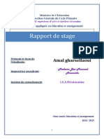 Rapport de Stage 2 - Amal Gharsellaoui