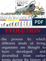 Evolution Ppt 2024