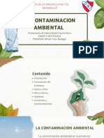 Presentacion Cuidado Del Medio Ambiente Collage Scrapbook Verde y Blanco