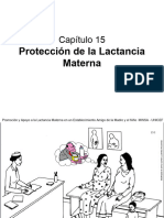 15 Protección de La LM Final