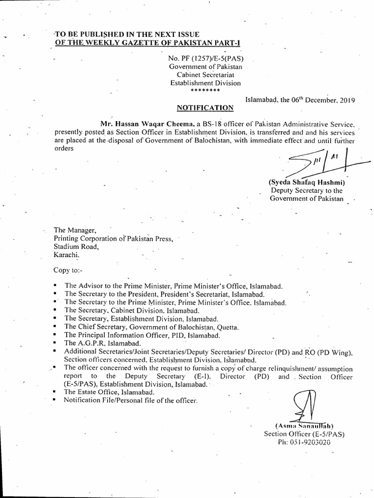 MR - Hassan Waqar Cheema BS 18 | PDF