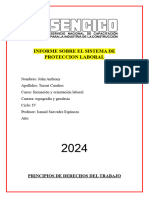 Informe Sobre El Sistema de Proteccion Laboral