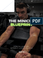 The Minicut Blueprint