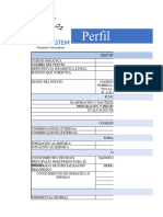 Copia de Perfil Del Puesto Contador