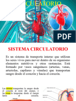 Sistema Circulatorio - Octavo