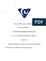 1.3 Qué Es La Libertad y Cuáles Son Los Derechos Humanos de Libertad y Sus Garantías Constitucionales