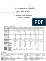 lp2 neonatologie