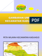 EVALUASI PROGRAM KESEHATN 1