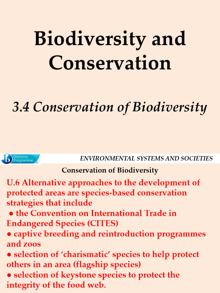 Conservation Strategies for Biodiversity | PDF | Conservation Biology ...