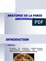 Anatomie de la paroi abdominale