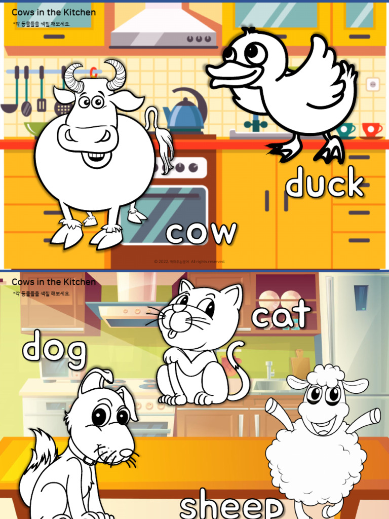 Cows in The Kitchen | PDF