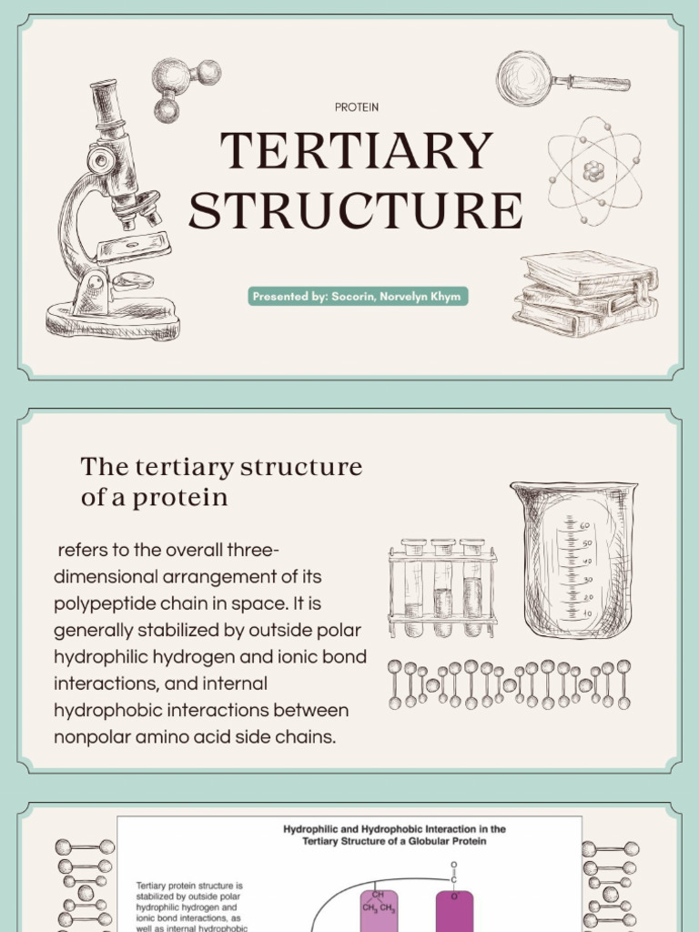 Tertiary Structure of Protein | PDF