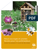 Fleurs Sauvages Et Prairies FL Euries Pour Nos Pollinisateurs