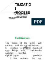 Alakeshbarman Zoology PG 2nd Fertilization