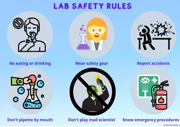 Lab Safety | PDF