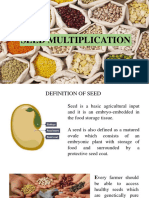 9th Seed Multiplication