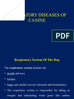 Diseases of Respiratory System