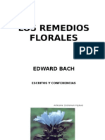 Los Remedios Florales