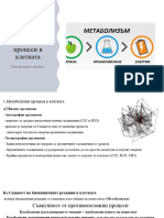 16.Метаболитни процеси в клетката