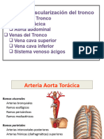 Tema 19. Resumen Vascularización Del Tronco