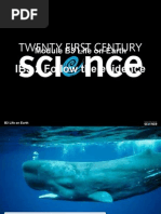 Download Classification - Whales by api-3800318 SN7242446 doc pdf