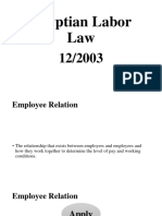 Egyptian Labor Law