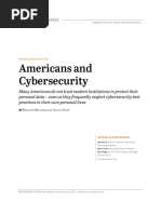 Americans and Cyber Security Final