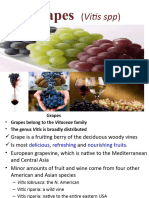 Grape ppt