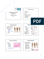 Histologia Do Tecido Conjuntivo - Vrma