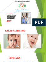 PALADAR HENDIDO EXPO[1]