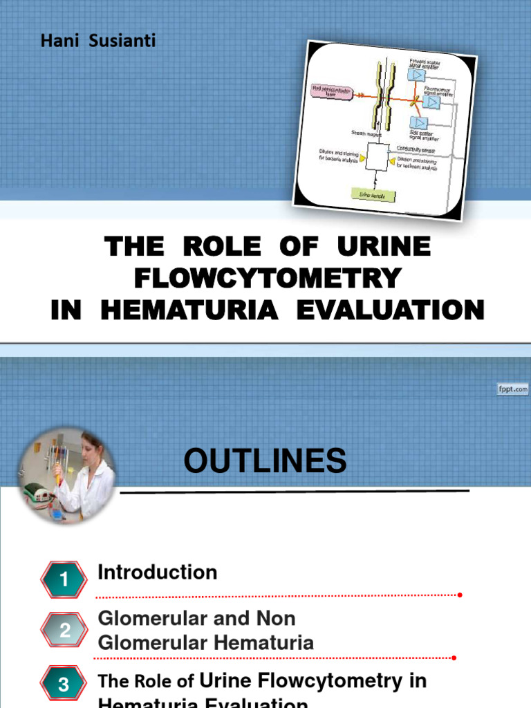 Eumorphic vs Dysmorphic RBC in Hematuria | PDF | Medical Specialties ...