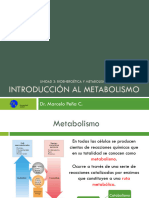 BQ 2021 Clase 11 - Introducción Al Metabolismo (Parte I)
