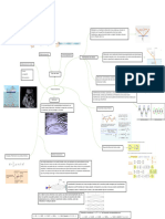 Mapa Mental de Ondas