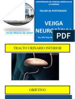 Vejiga Neuropàtica Introducciòn