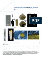 Solo Eletrônico Comprova Que Eletricidade Otimiza Culturas Agrícolas