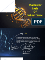 Molecular Basis of Inheritance - 1