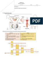 Science 10 Q3 M1 Act.1 Human Reproductive System Im