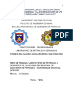 INFORME DE PRACTICAS DE PETROLEO (2) (2)