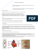 Кръвоносна и Нервна Система На Човека