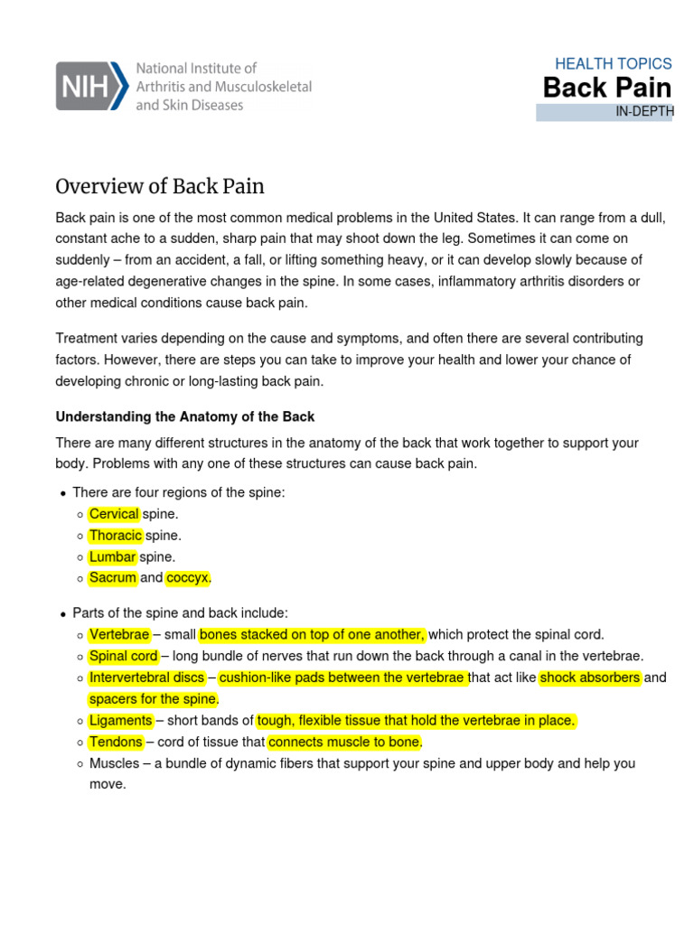 Back Pain en | PDF | Back Pain | Vertebral Column