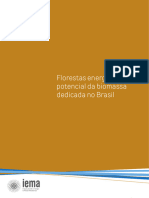 Florestas energéticas potencial da biomassa no brasil