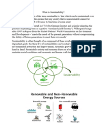 Essay Sustainability