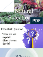 L4+Natural+Selection