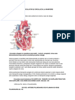 Sistemul Circulator La Animale