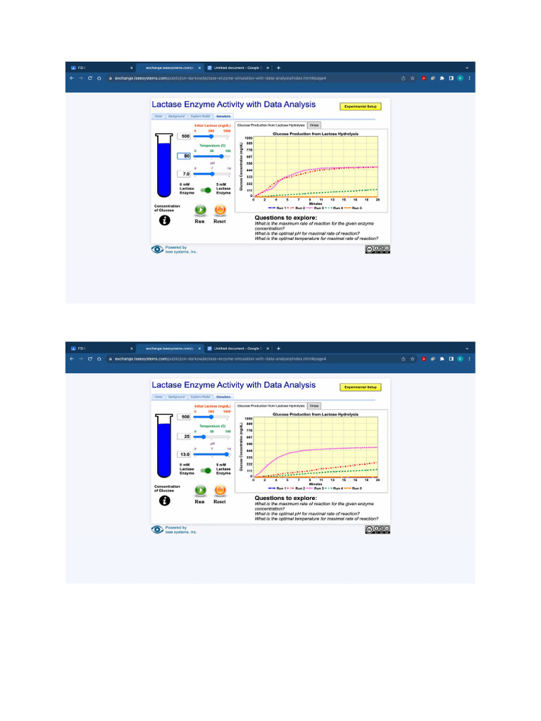 Lactase Enzyme Activity with Data Analysis PDF