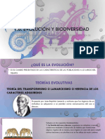 1.6 Evolución y Clasificación - PDF Sesión 8 y 9