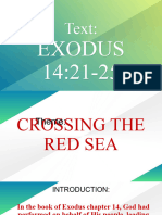 12-31-23 Crossing The Red Sea